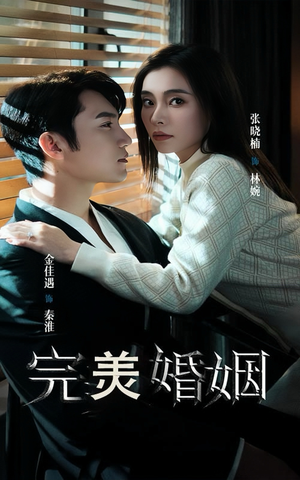 《完美婚姻》短剧全集下载
