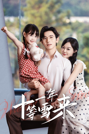 《十一年等雪来》短剧完整版