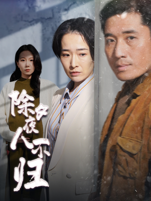 《除夕夜人不归》短剧4K画质