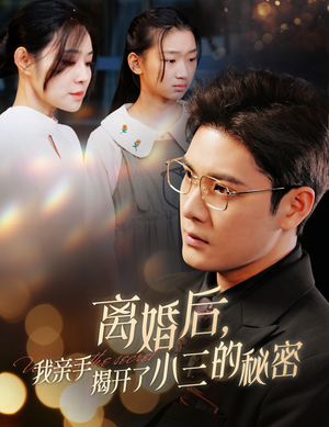 《离婚后我亲手揭开了小三的秘密》全网短剧最全