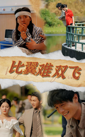 《比翼难双飞》短剧免费下载