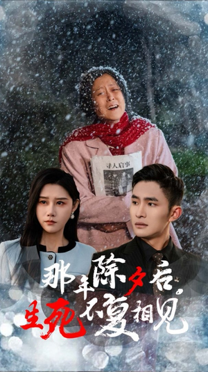 《那年除夕后生死不复相见》短剧免费看全集