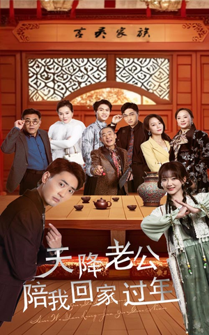 《天降老公陪我回家过年》短剧免费看全集