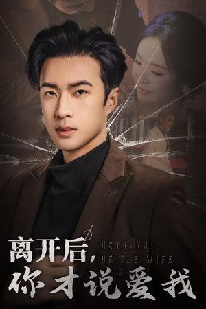 《离开后你才说爱我》短剧一口气看到大结局