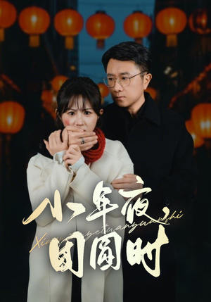 《小年夜万家灯火没有我》最新热门短剧