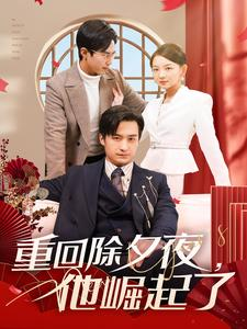 《重回除夕夜他崛起了》短剧免费看全集