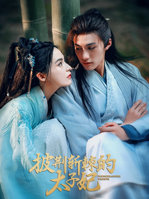 《披荆斩棘的太子妃》短剧免费全集