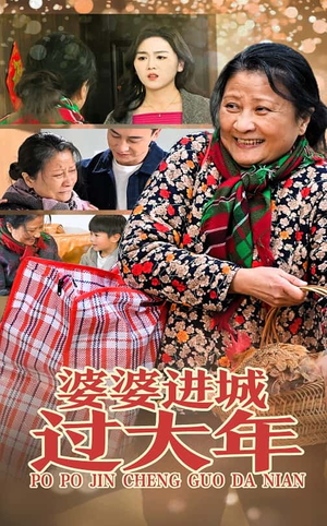 《婆婆进城过大年》热门短剧推荐