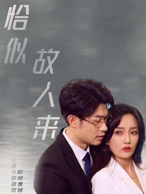 《恰似故人来》短剧免费下载
