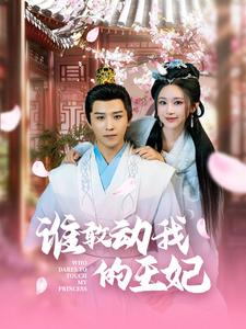 《谁敢动我的王妃》短剧免费看全集