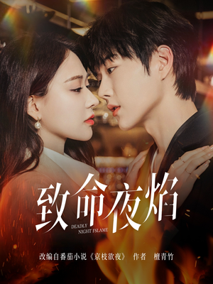 致命夜焰 《致命夜焰》短剧免费看全集