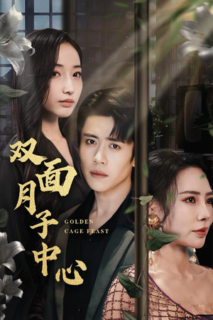 双面月子中心 《双面月子中心》短剧完整版