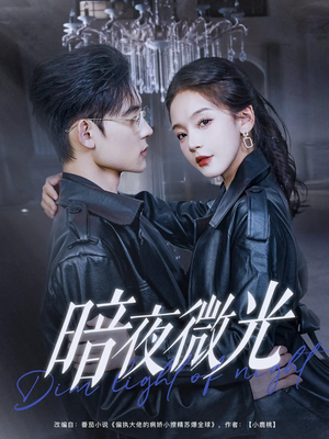 暗夜微光 《暗夜微光》短剧全集观看通道