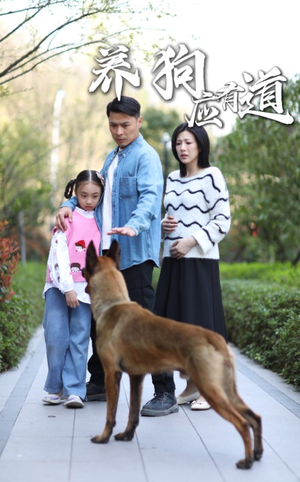 养狗应有道 《养狗应有道》短剧在线观看