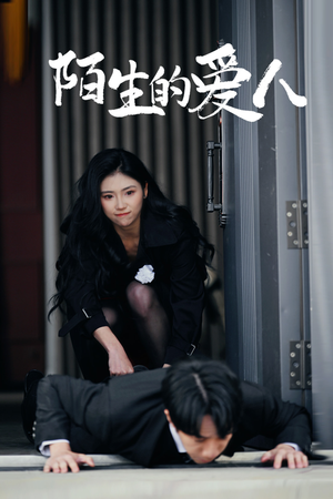 陌生的爱人 《陌生的爱人》短剧可以免费看全集