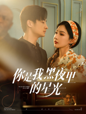 你是我黑夜里的星光 《你是我黑夜里的星光》2024短剧排行榜