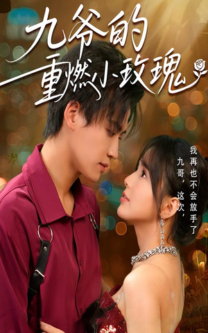 九爷的重燃小玫瑰 《九爷的重燃小玫瑰》最新热门短剧