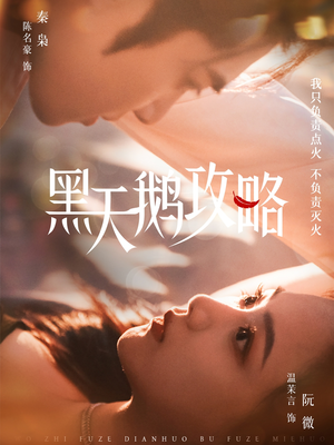黑天鹅攻略 《黑天鹅攻略》最新热门短剧