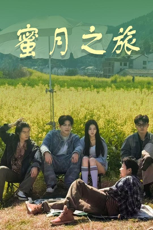 蜜月之旅 《蜜月之旅》短剧全集免费看