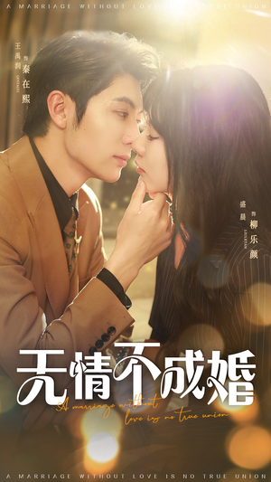 无情不成婚 《无情不成婚》短剧全集观看通道