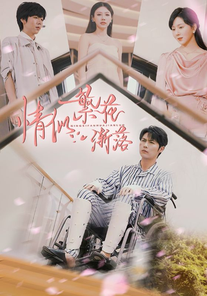 情似繁花渐落 《情似繁花渐落》免费看高清短剧全集