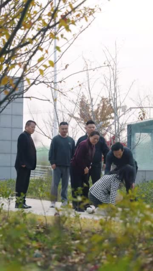 穷养二十年 《穷养二十年》全网短剧最全