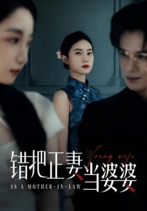 错把正妻当婆婆 《错把正妻当婆婆》免费下载短剧全集