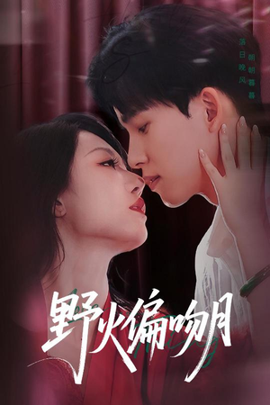 《野火偏吻月》短剧免费看
