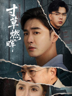 寸草燃晖 《寸草燃晖》免费下载短剧全集