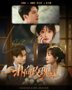 扑向玫瑰 《扑向玫瑰》短剧全集直接看