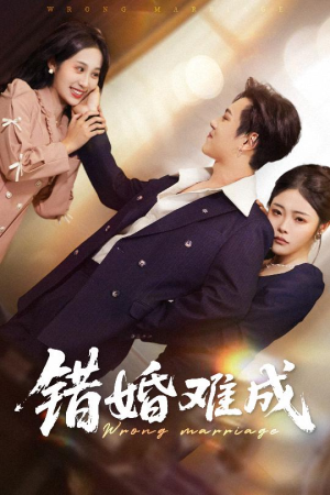 错婚难成 《错婚难成》短剧终于能免费看了