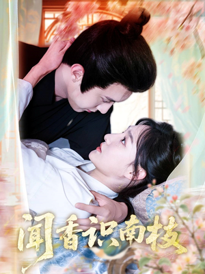 闻香识南枝 《闻香识南枝》短剧免费看全集